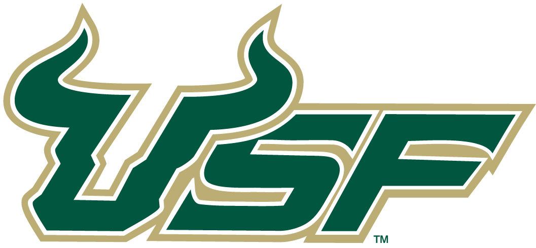 South Florida Bulls 2003-Pres Wordmark Logo v2 diy DTF decal sticker